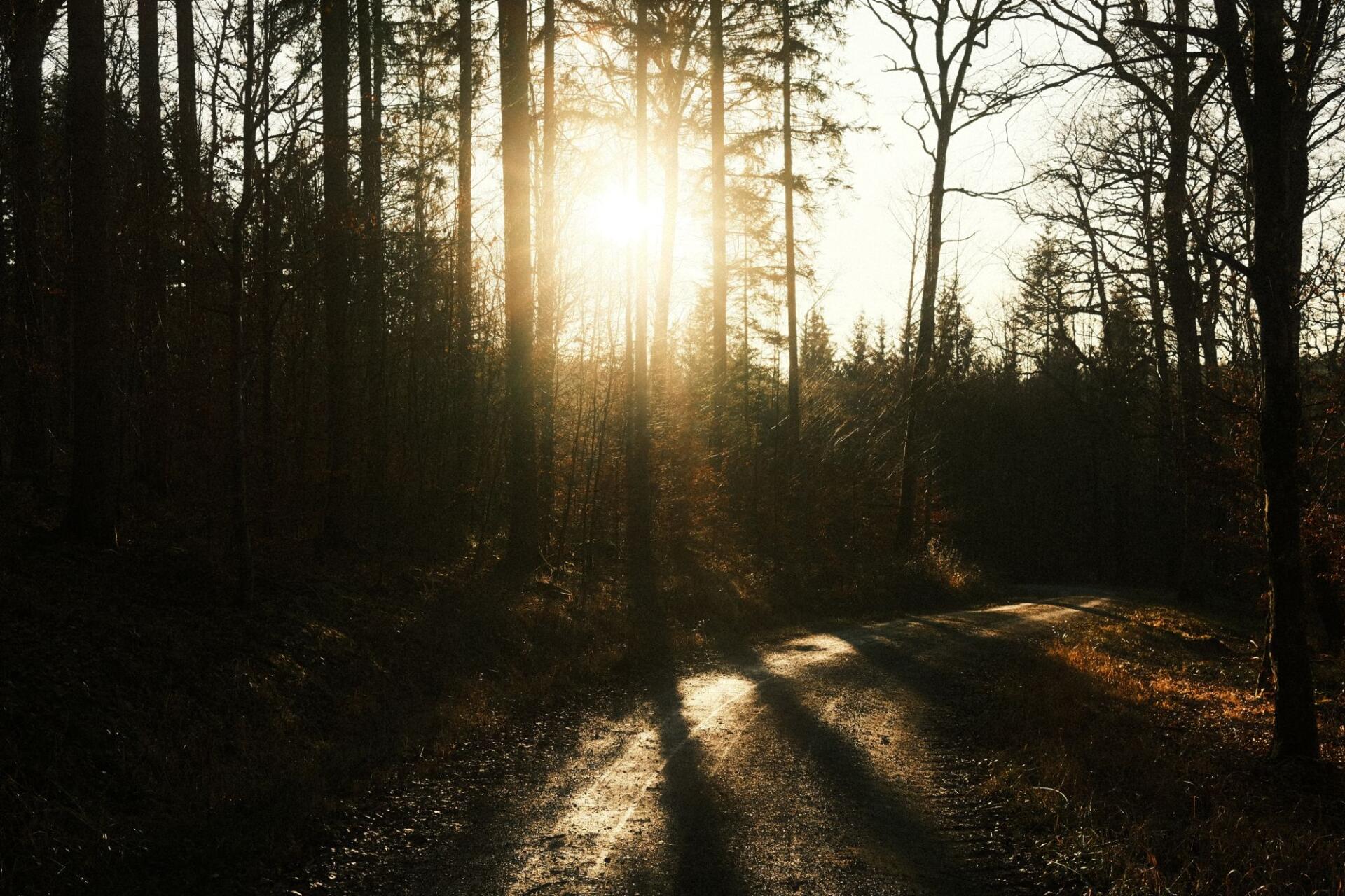 Einladung zur Familienfreizeit für trauernde Eltern und Geschwister