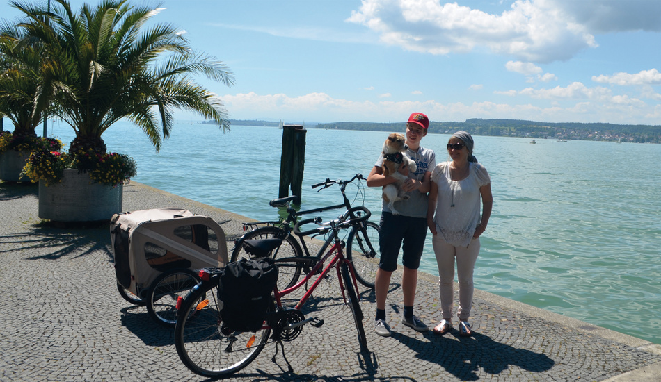 familie mit fahrrädern am bodensee an sonnigem tag