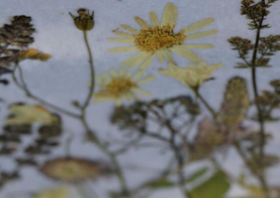 Einladung zur Freizeit für trauernde Geschwister 2025