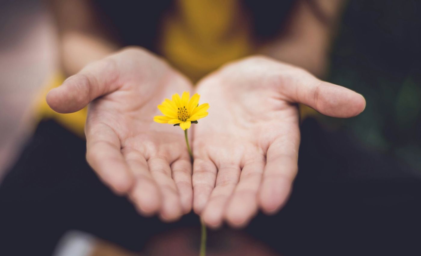 PayPal als Zahlart vorübergehend gesperrt