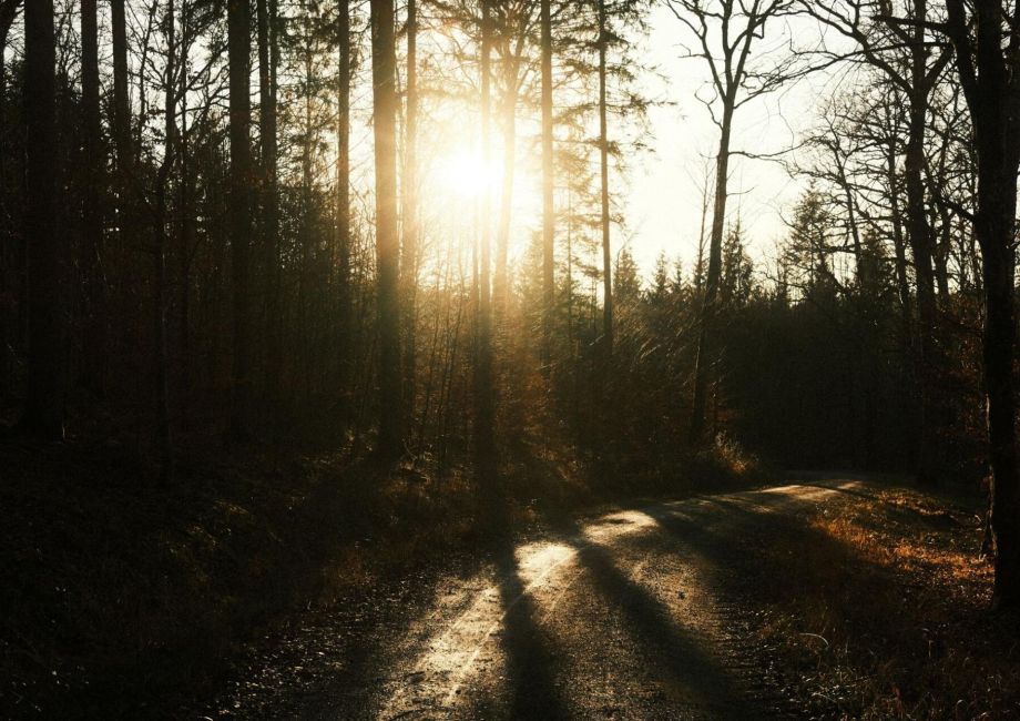 Einladung zur Familienfreizeit für trauernde Eltern und Geschwister