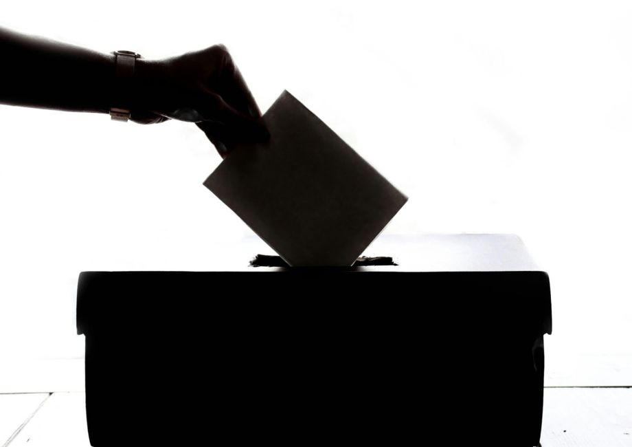 Wahl des Vorstands 2025