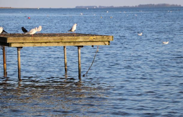 Ein Tag für trauernde Paare