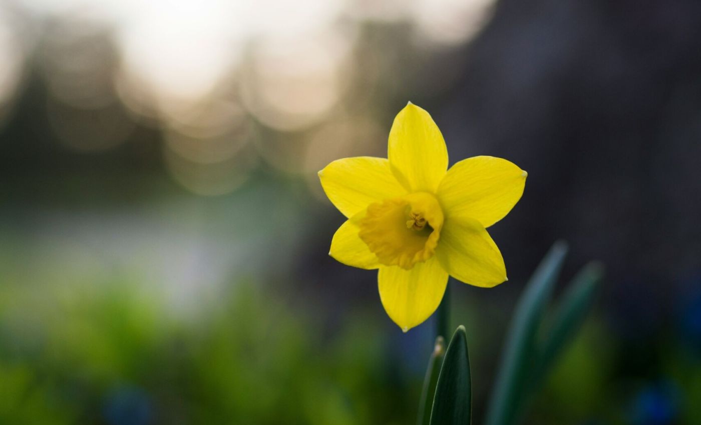 Wir wünschen Ihnen schöne Osterfeiertage!