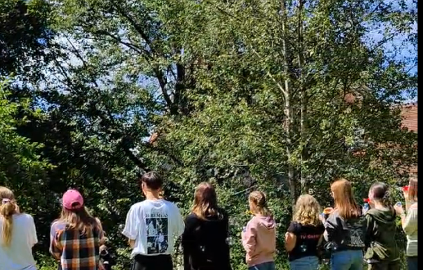 Geschwistertrauerfreizeit 2024