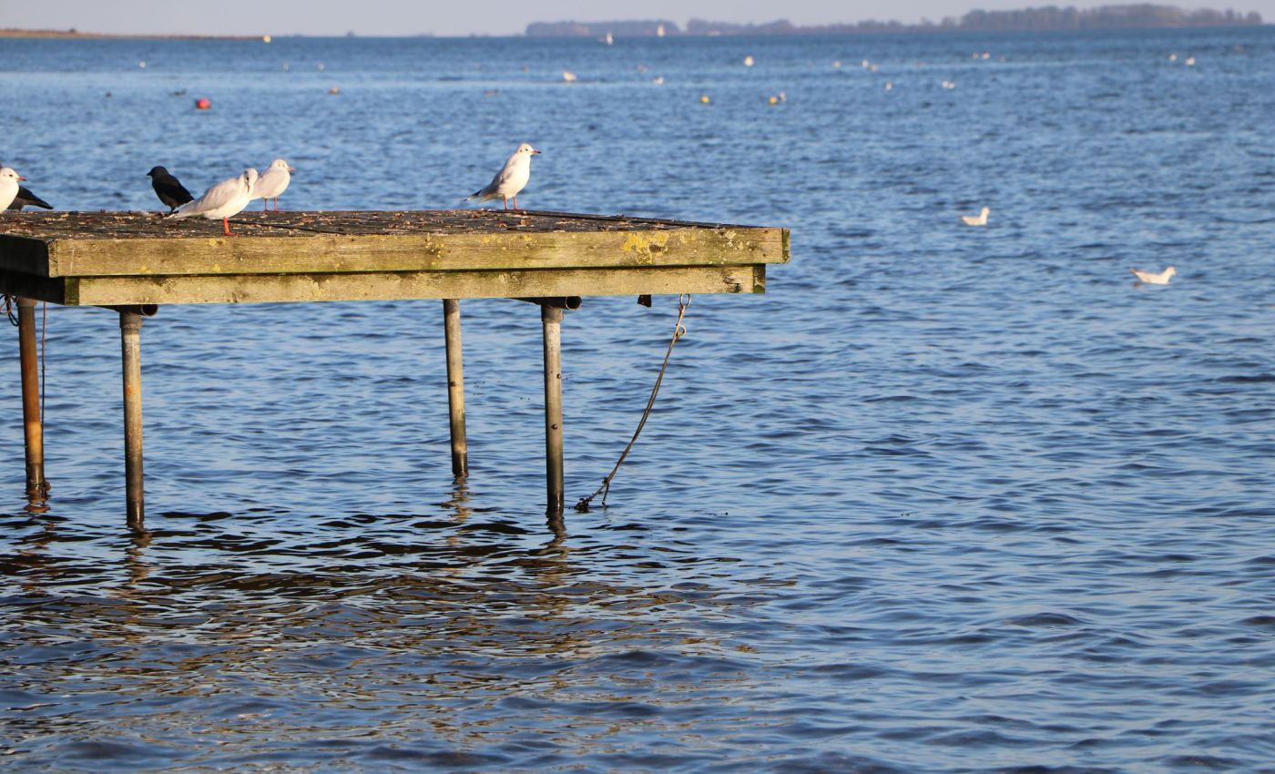 Ein Tag für trauernde Paare